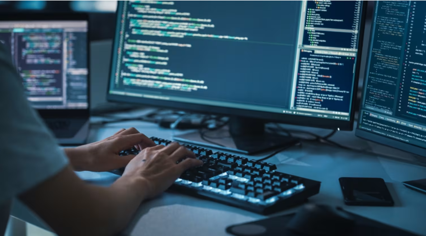 Web Developers