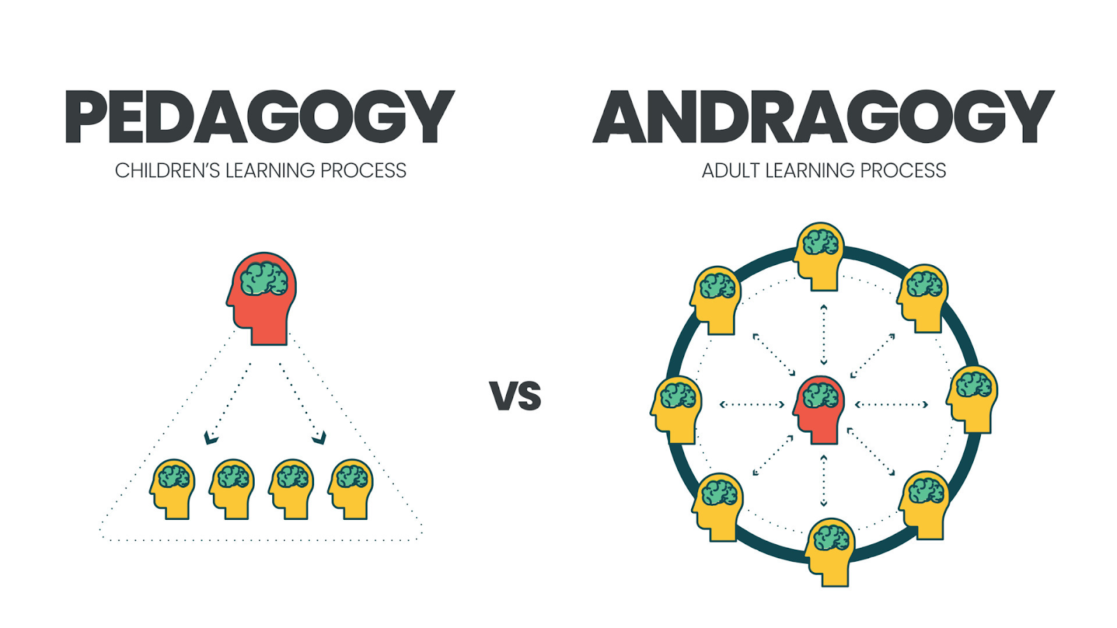 Pedagogy vs Andragogy Key Differences