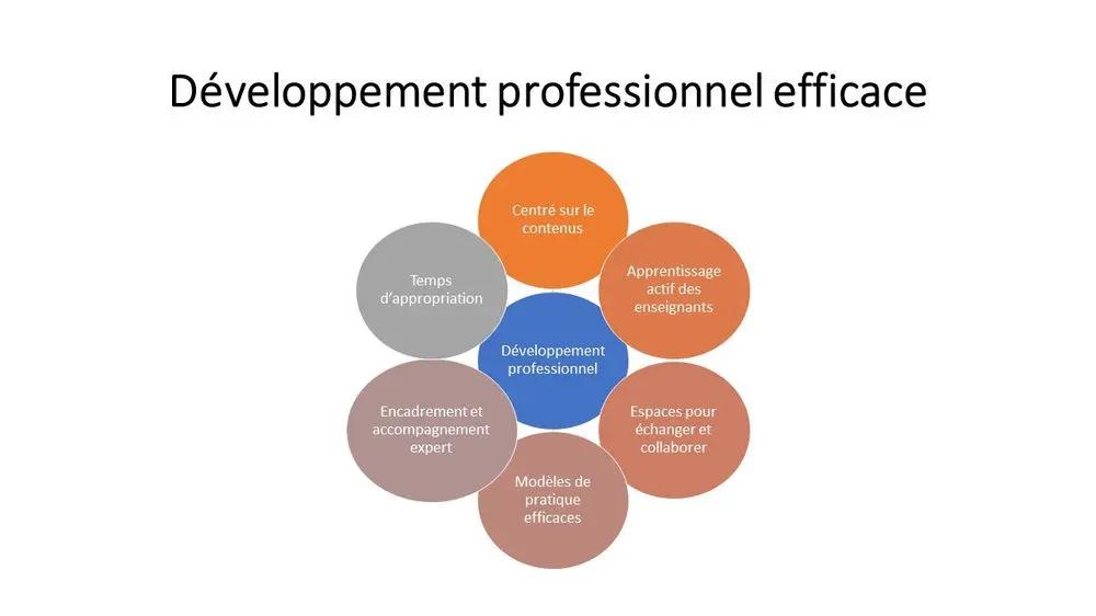 development proffesional efficacie