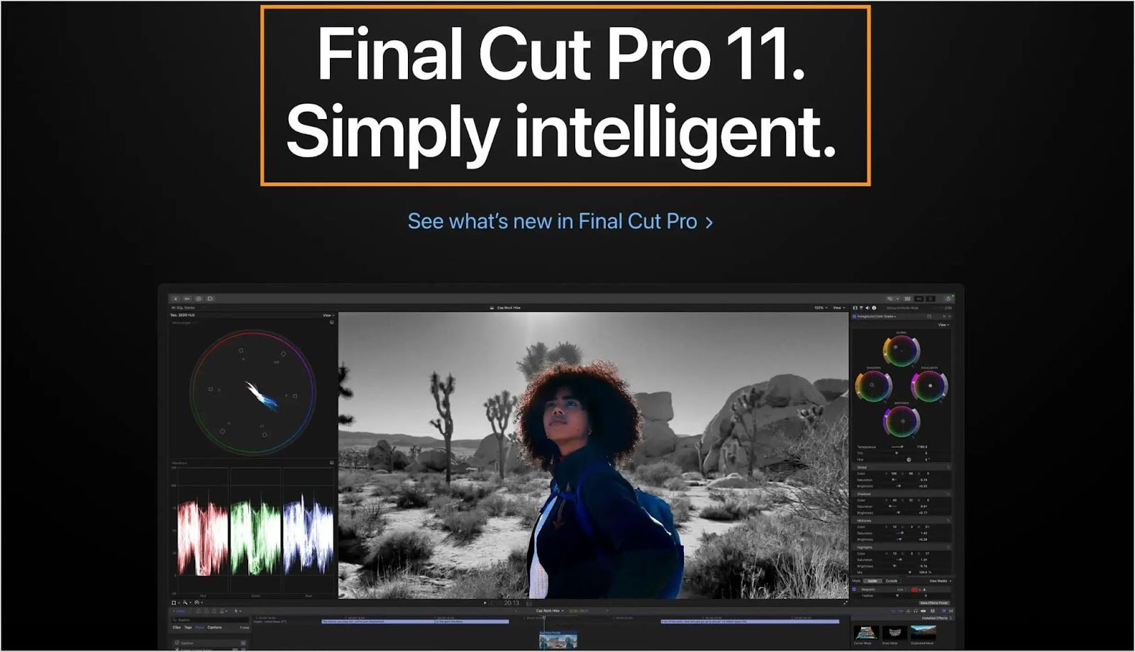 Final Cut Pro