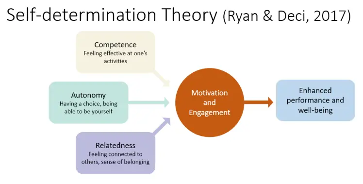 What Is Self-Determination Theory