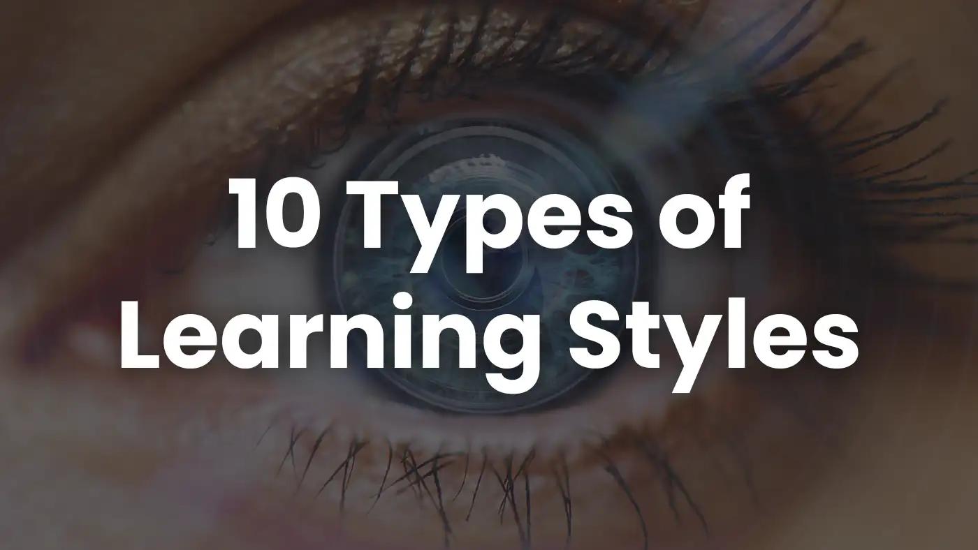 10 Types of Learning Styles: The Complete Guide to Professional ...