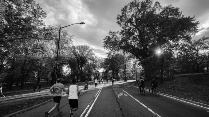 Runners on a tree-lined park road