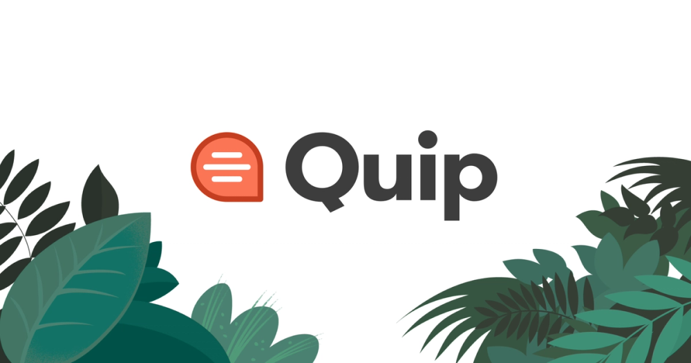 image of Quip