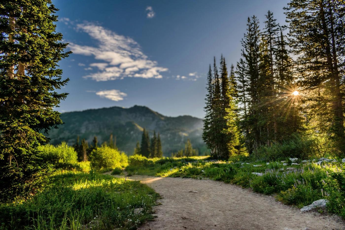 Gatebreak Endurance - Ultra Running & Nutrition Coaching