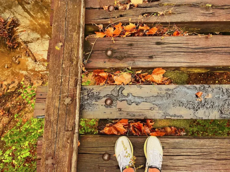 Cold & wet autumn trails