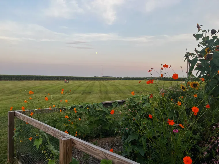 Local sunset and garden