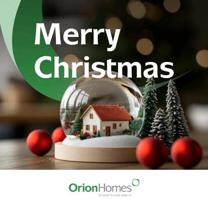 Orion Homes Social Style