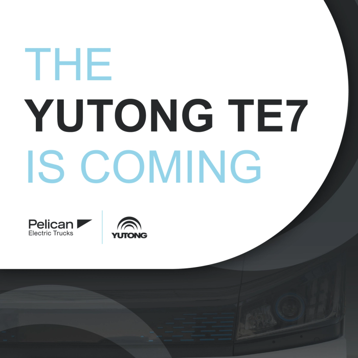 Pelican yutong social style