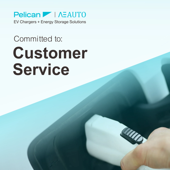 Pelican yutong social style