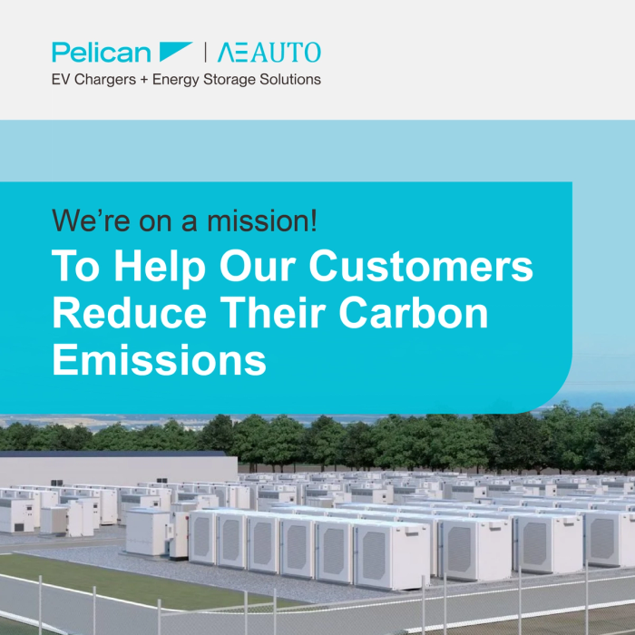 Pelican yutong social style