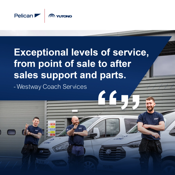 Pelican yutong social style