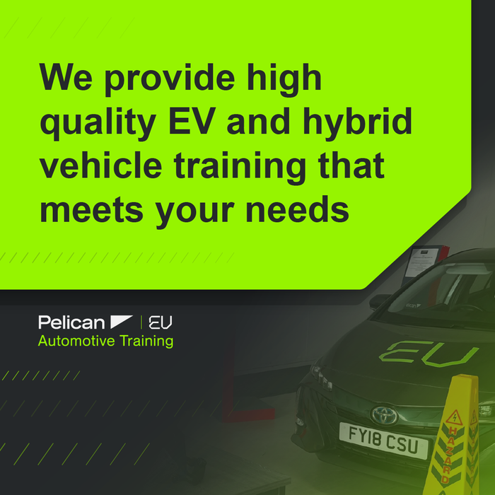 Pelican yutong social style