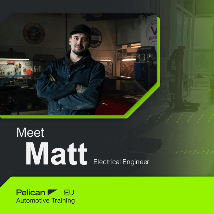 Pelican yutong social style