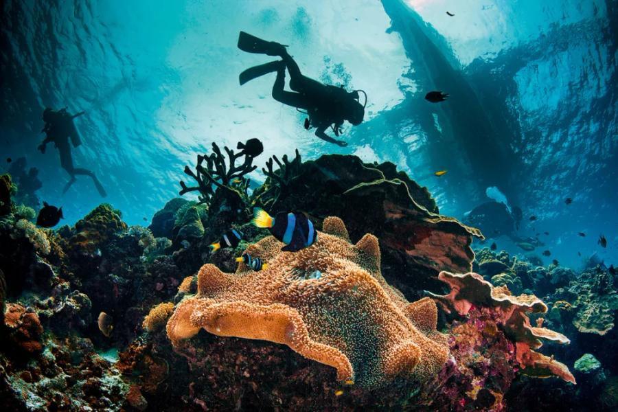 Scuba Diver - 12 m