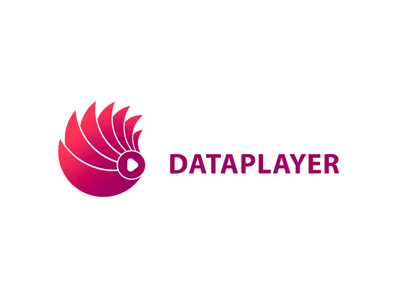 dataplayer logo