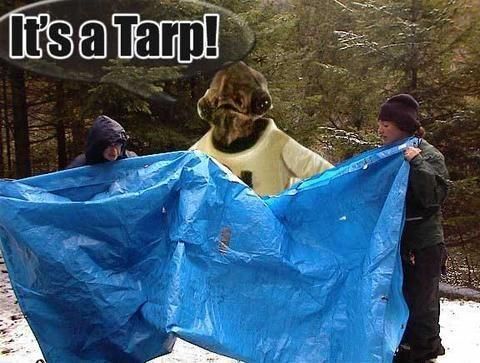 admiral-ackbar-its-a-tarp