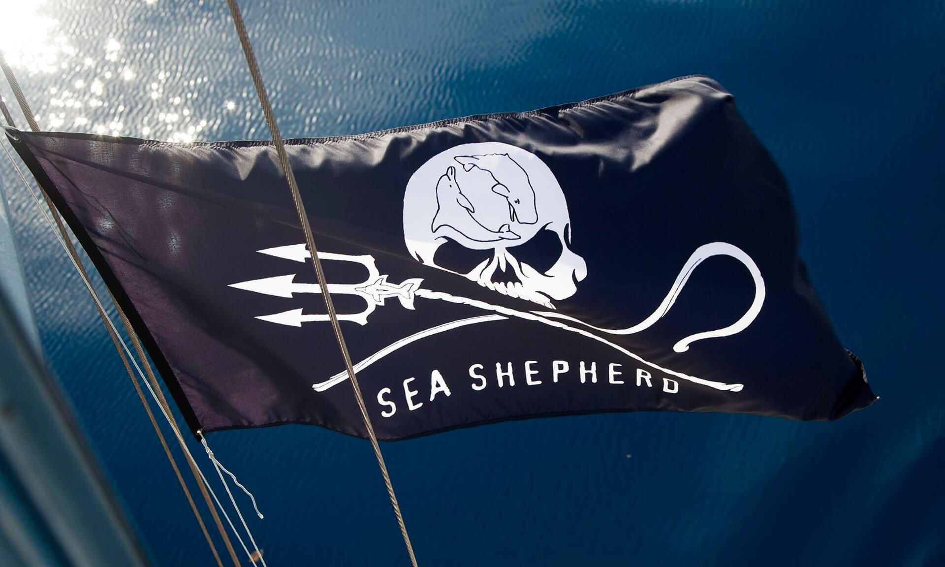 A photo of the official Sea Shepherd maritime flag in the sun with the sea in the background