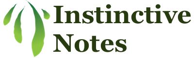 Instinctive Notes logo