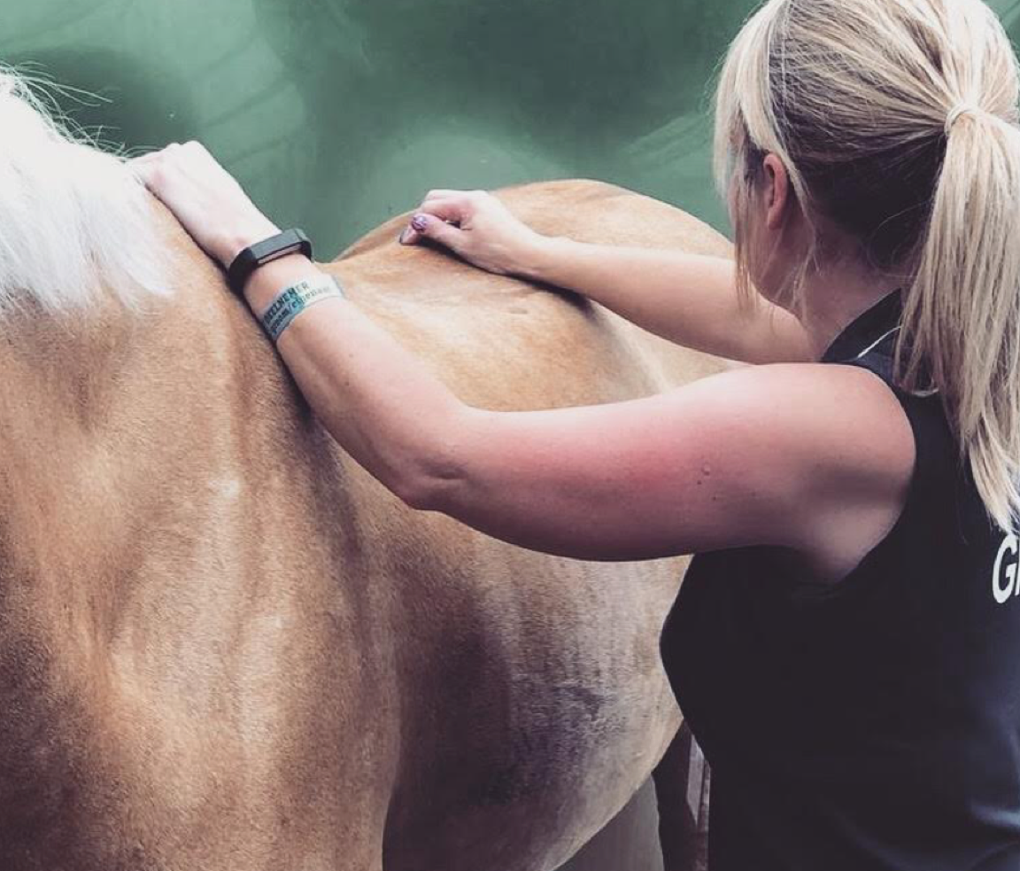 Veterinary Physiotherapist Hazel Potter with a tan-coloured horse