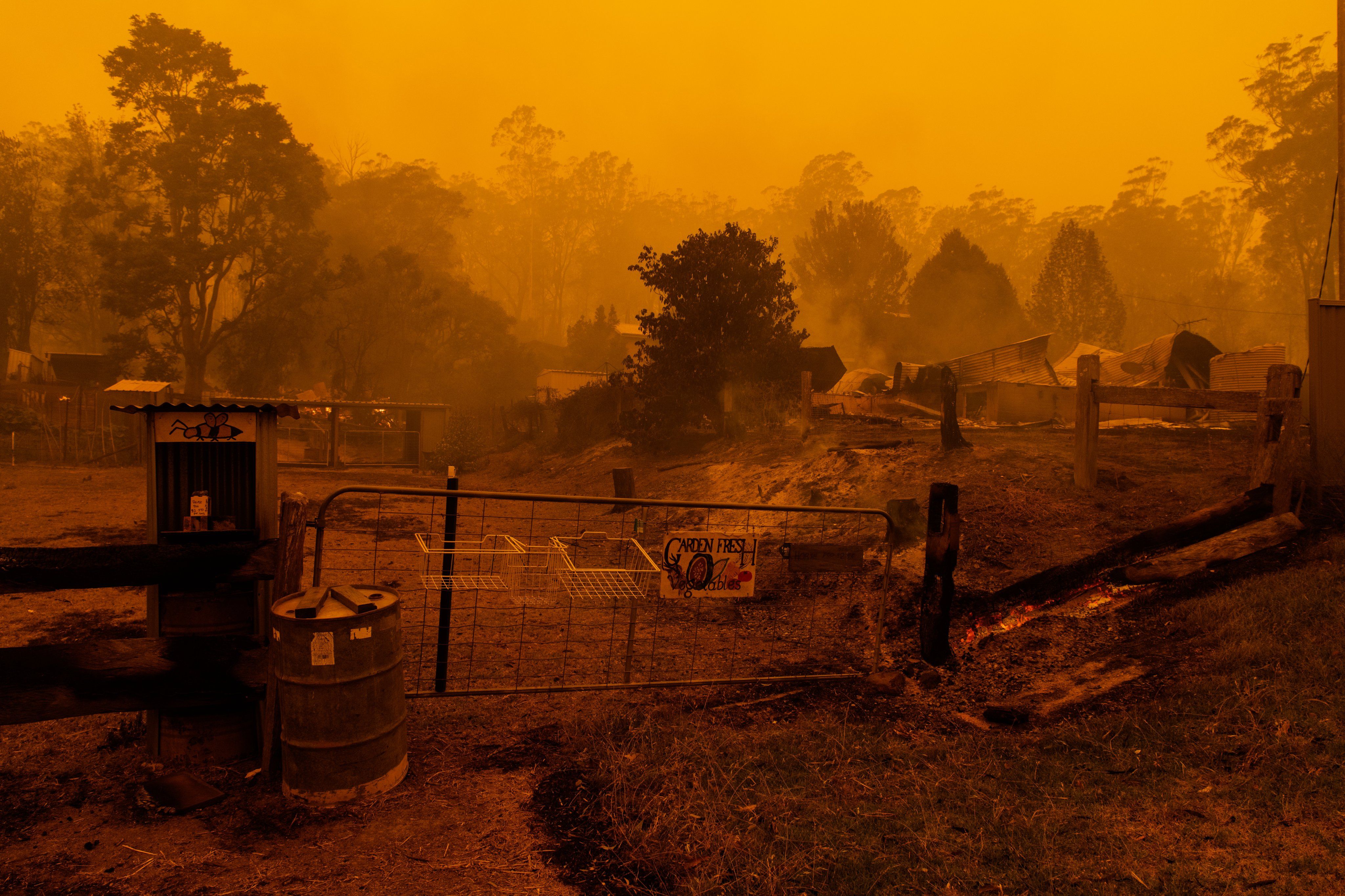 Aftermath of Australian bushfires in NSW by James Brickwood