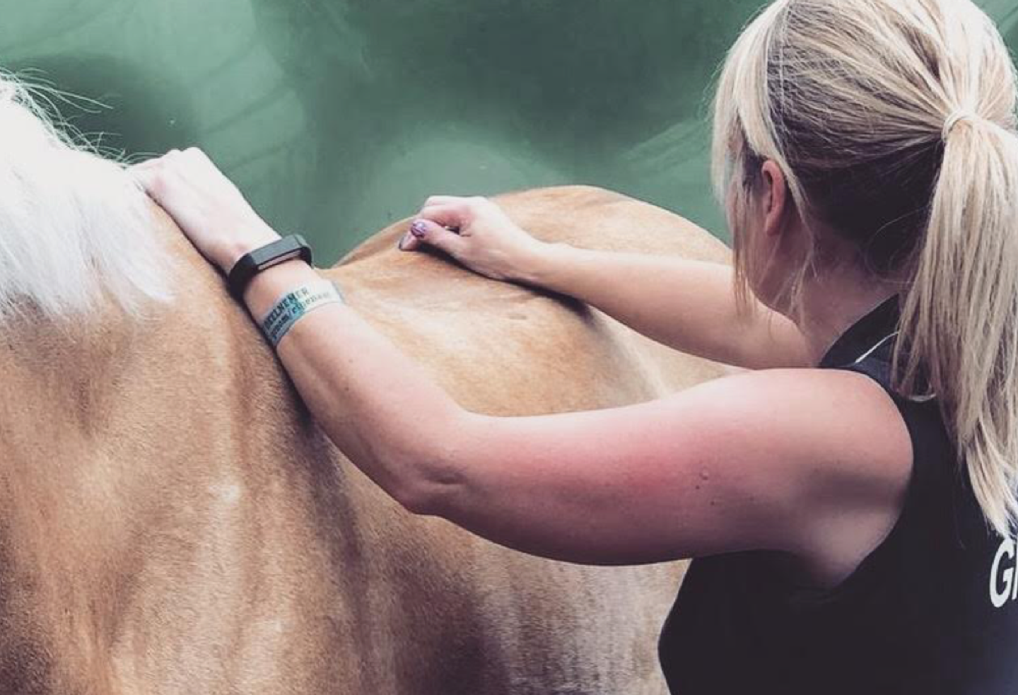 Veterinary physiotherapist Hazel Potter with a tan-coloured horse