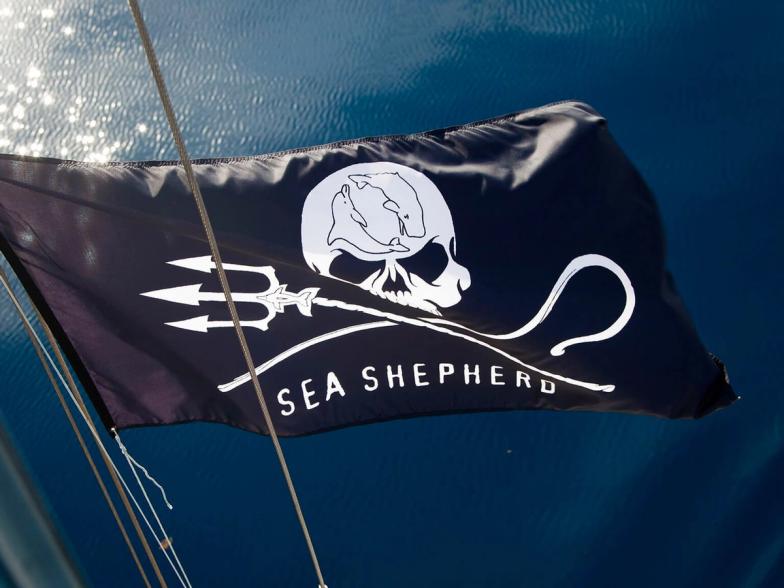 A photo of the official Sea Shepherd maritime flag in the sun with the sea in the background