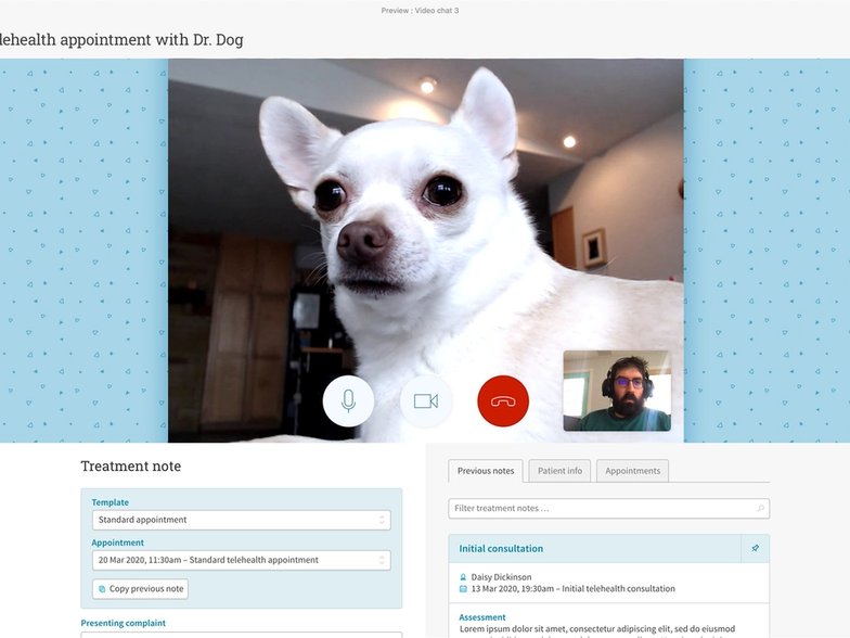A screenshot of Cliniko's upcoming telehealth feature, showing Dr. Dog on a video appointment with one of our developers