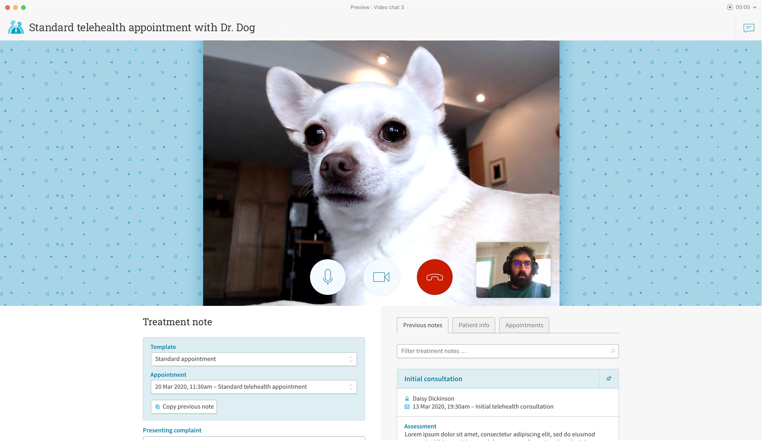 A screenshot of Cliniko's upcoming telehealth feature, showing Dr. Dog on a video appointment with one of our developers