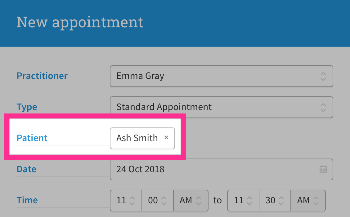 New appointment user interface displaying patient/client name