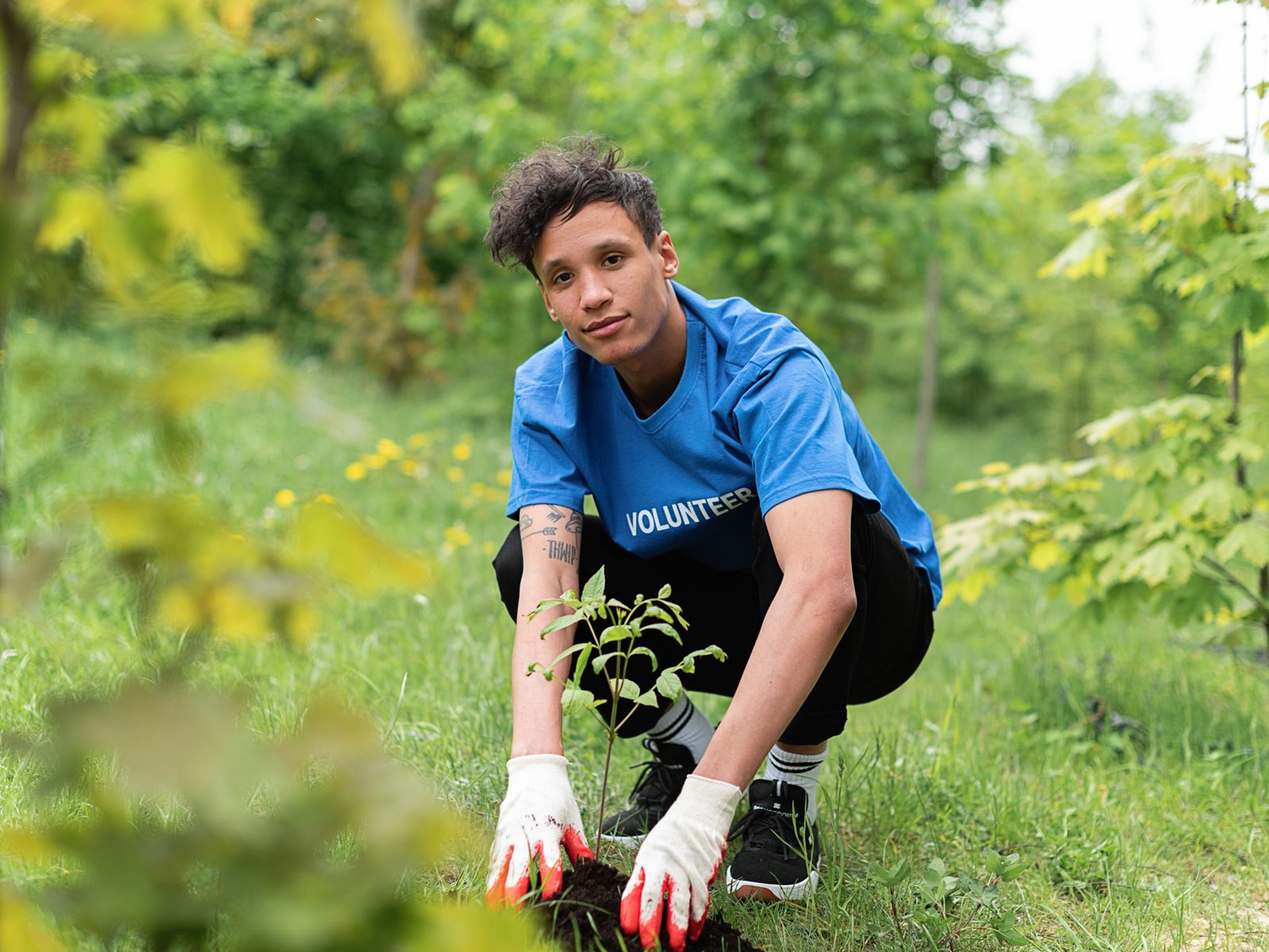 A young volunteer planting a tree sapling
