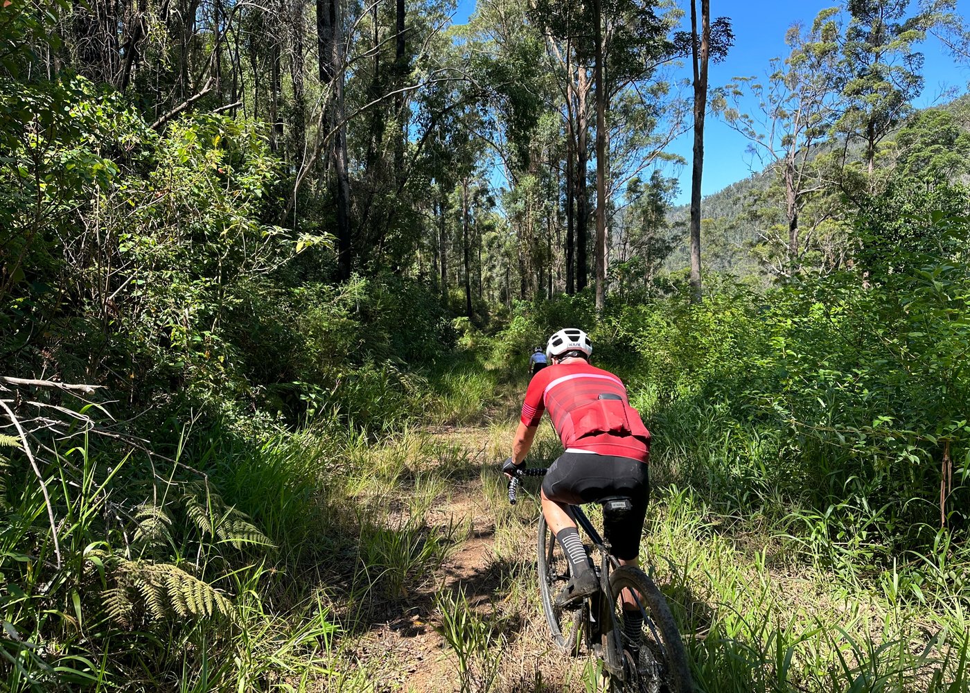BOWRAVILLE LOOP - THE LONGEST DAY WHICH WAS NEVER MEANT TO BE A LONGEST DAY