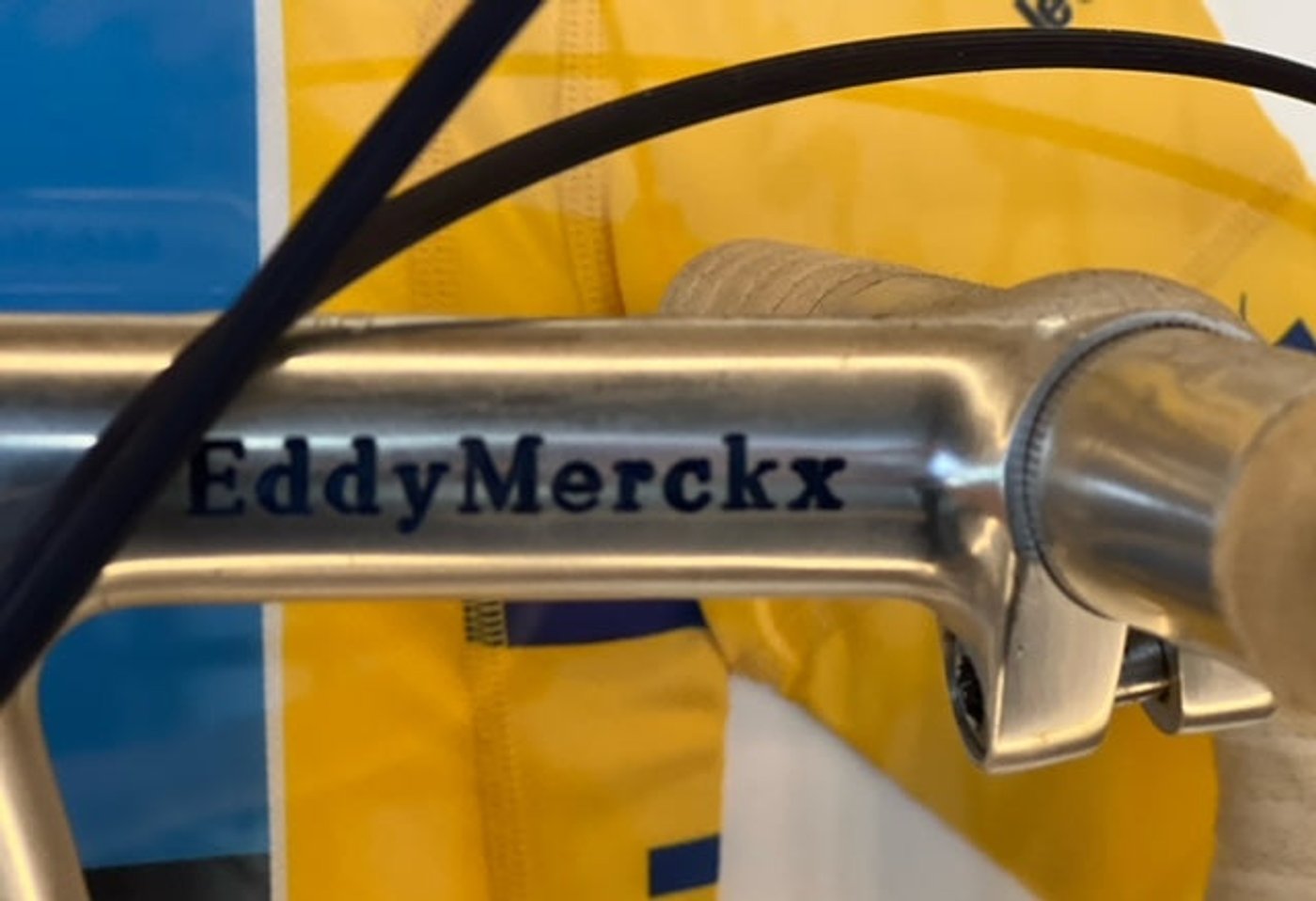 Meet Eddy in the Clubhouse