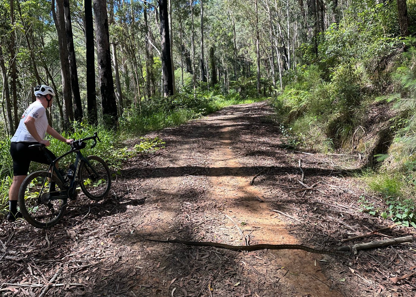 BOWRAVILLE LOOP - THE LONGEST DAY WHICH WAS NEVER MEANT TO BE A LONGEST DAY