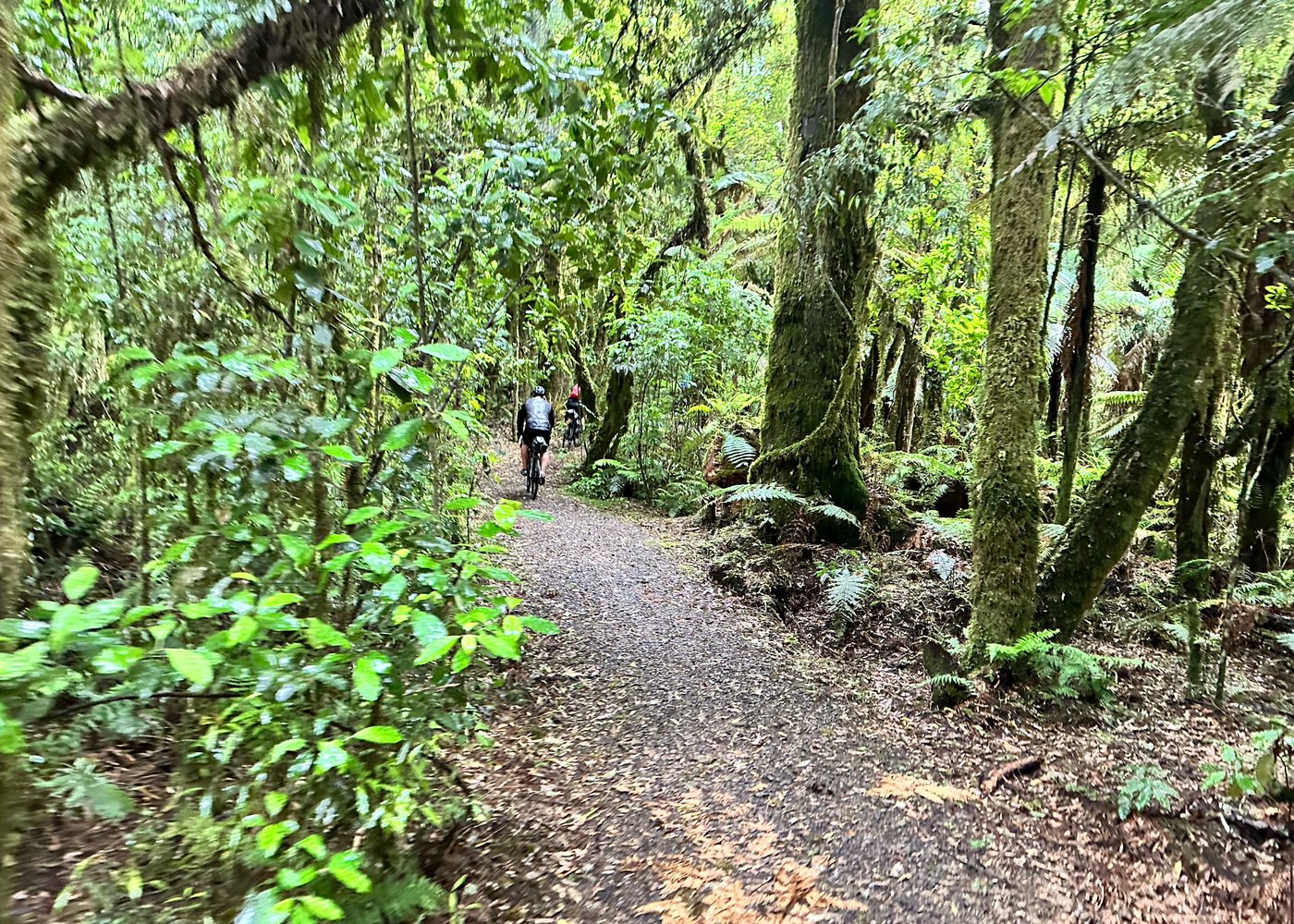 KOPIKO AOTEAROA