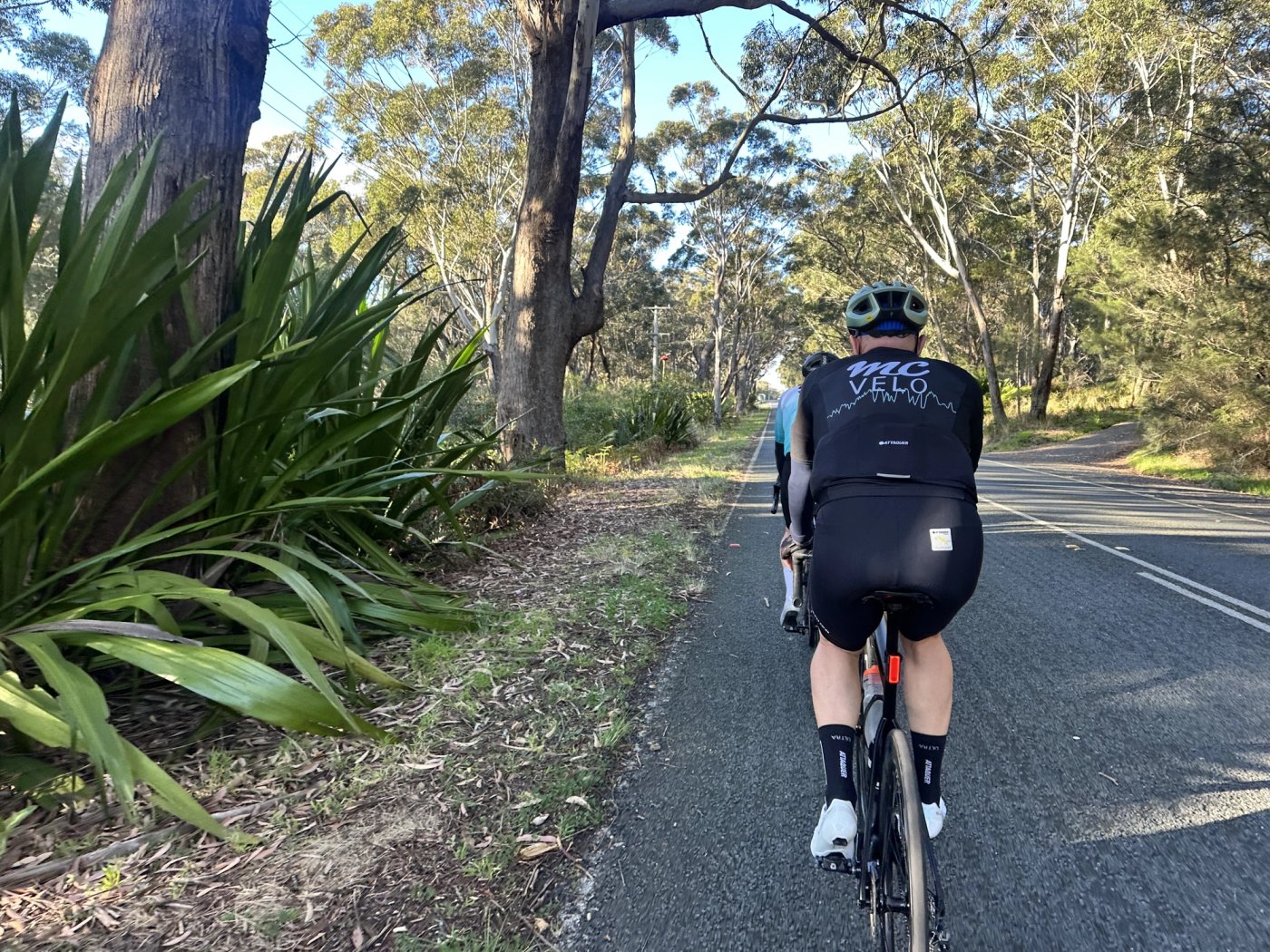 Two riders on a quiet bush road in early morning light, gum trees and palms lining the verge.