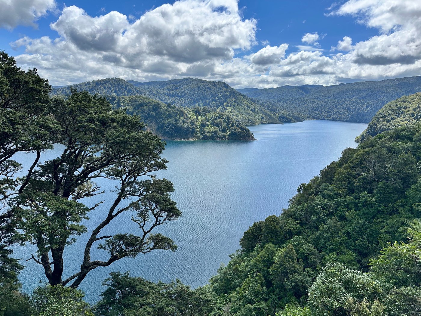 KOPIKO AOTEAROA