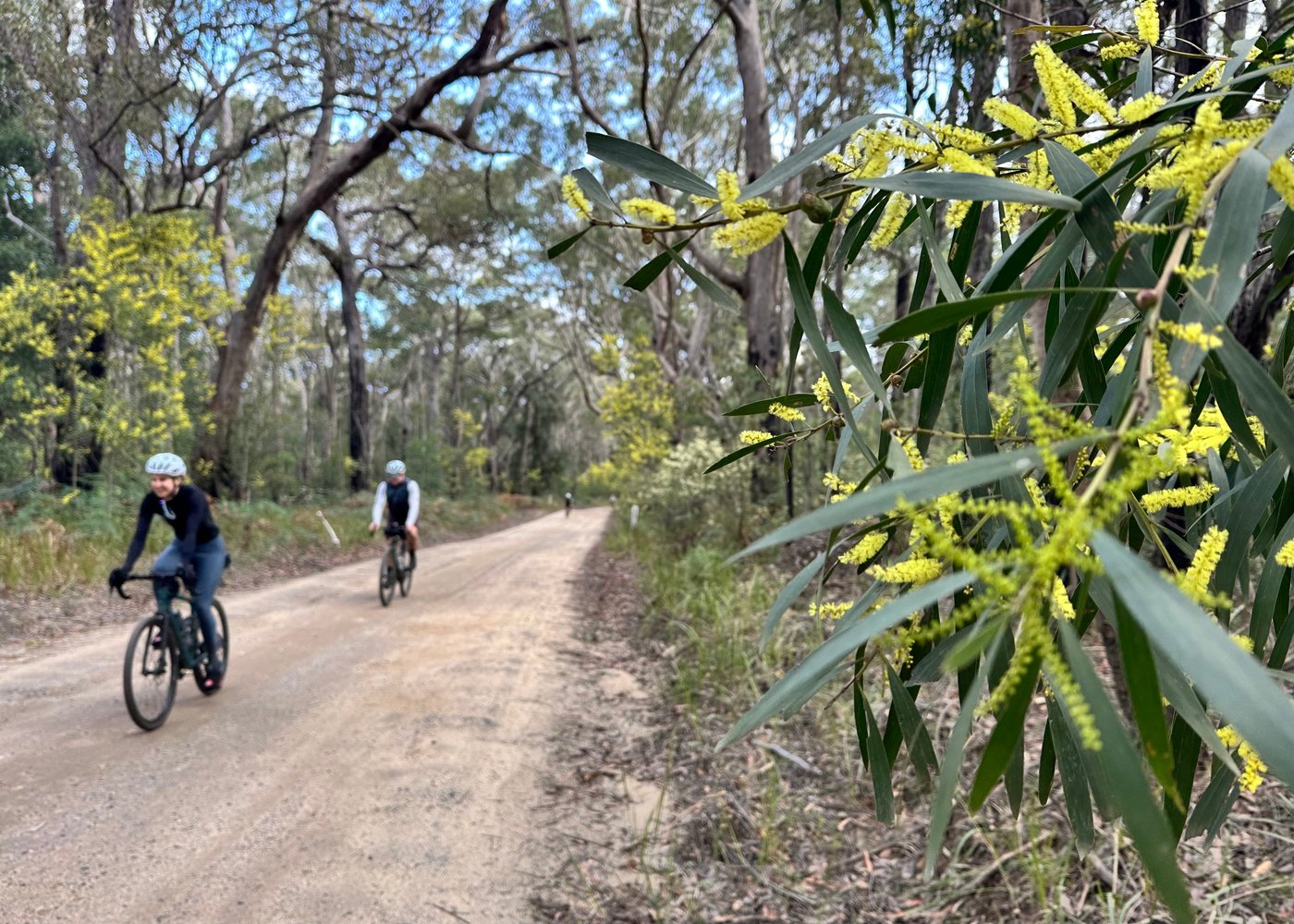 Gravel Overnighter - all the adventure, none of the roughing it