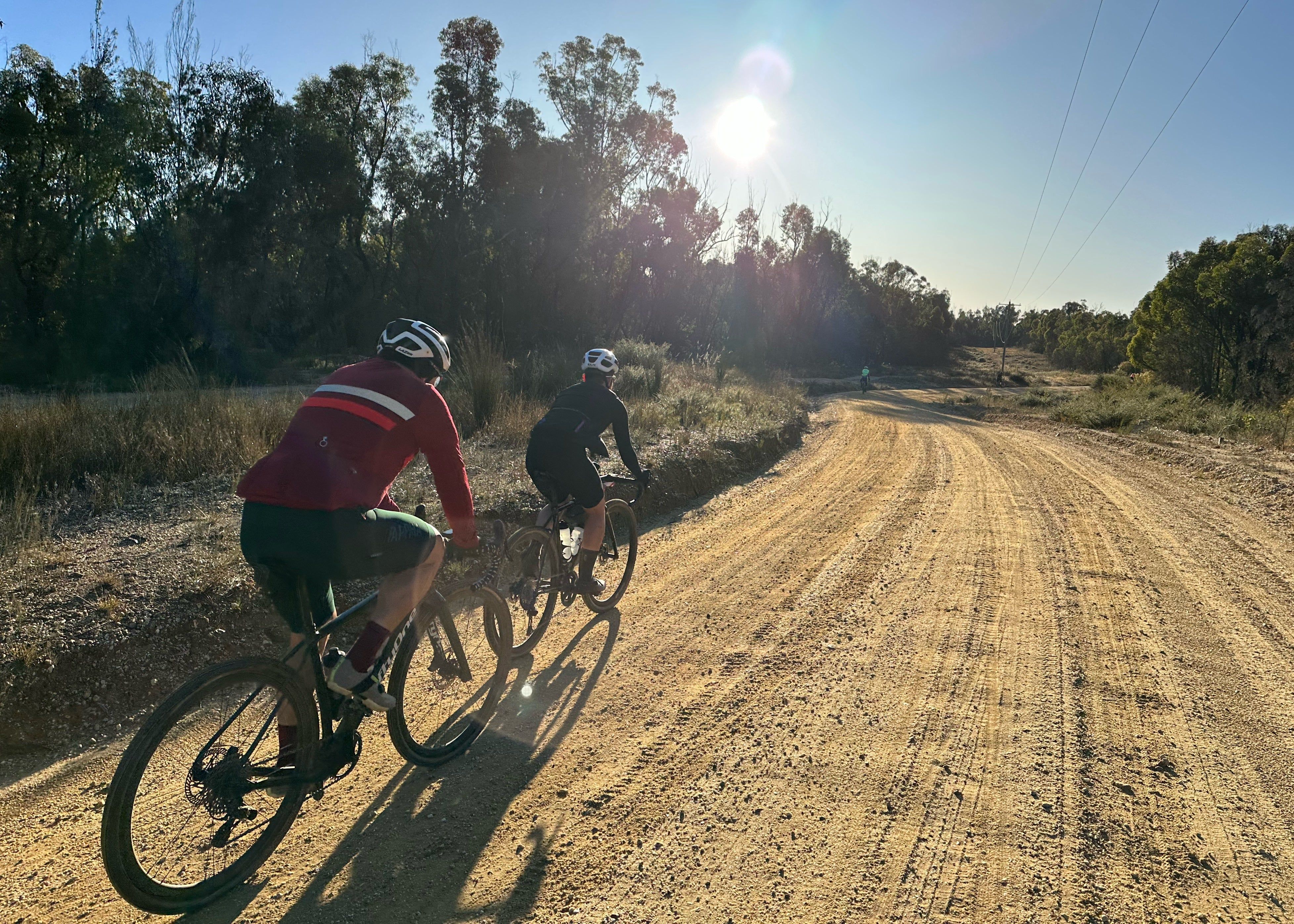 GOODNESSGRAVEL: THE MOGO EDITION