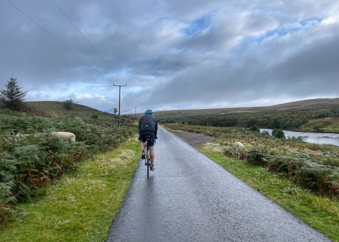 FREEDOM MACHINE - PART II (DAY-BY-DAY RIDING JOURNAL)