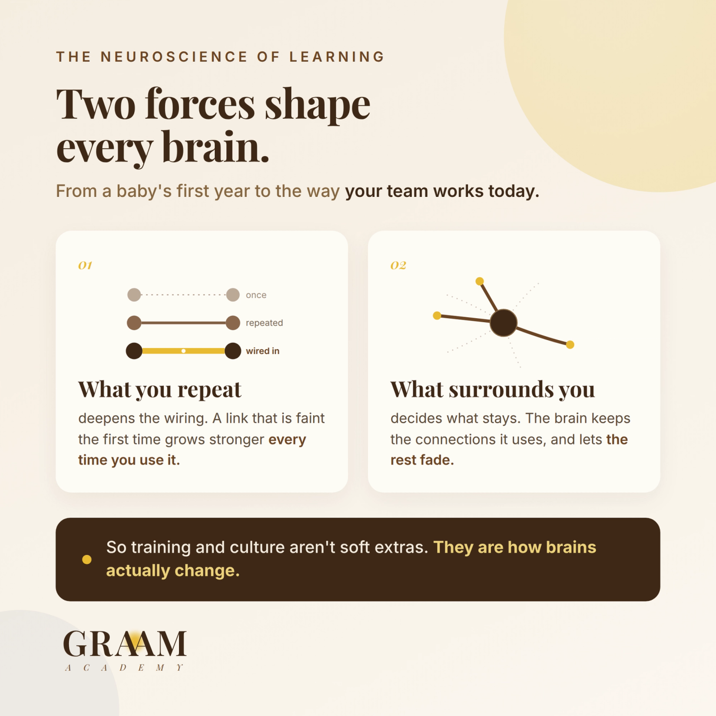 The two factors that shape neuroplasticity