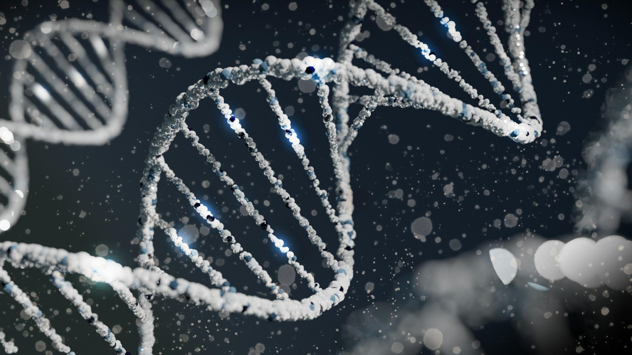 The Role of DNA Evidence in Criminal Defense Cases