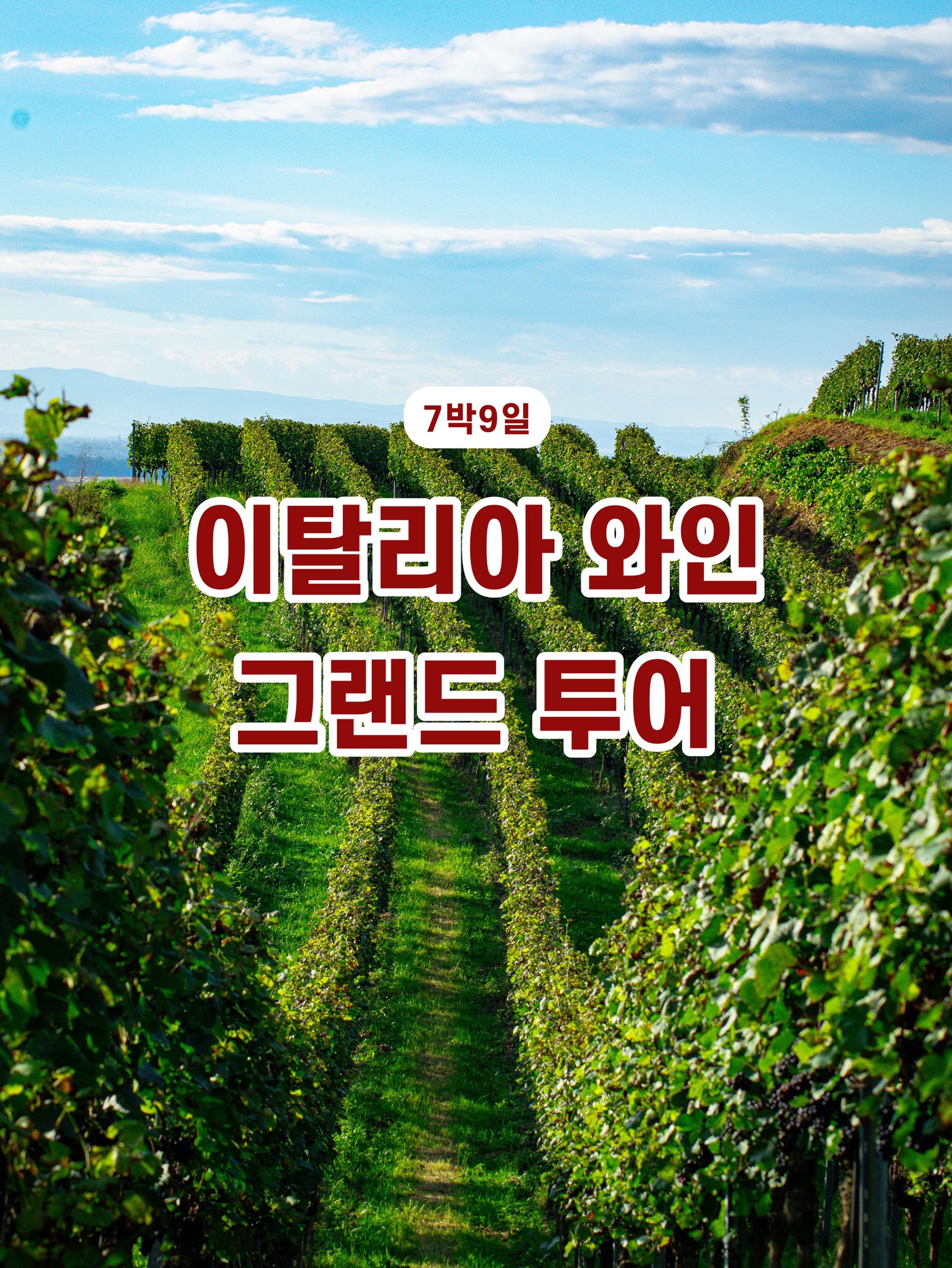 이탈리아 명품 와인 그랜드 투어 1/18