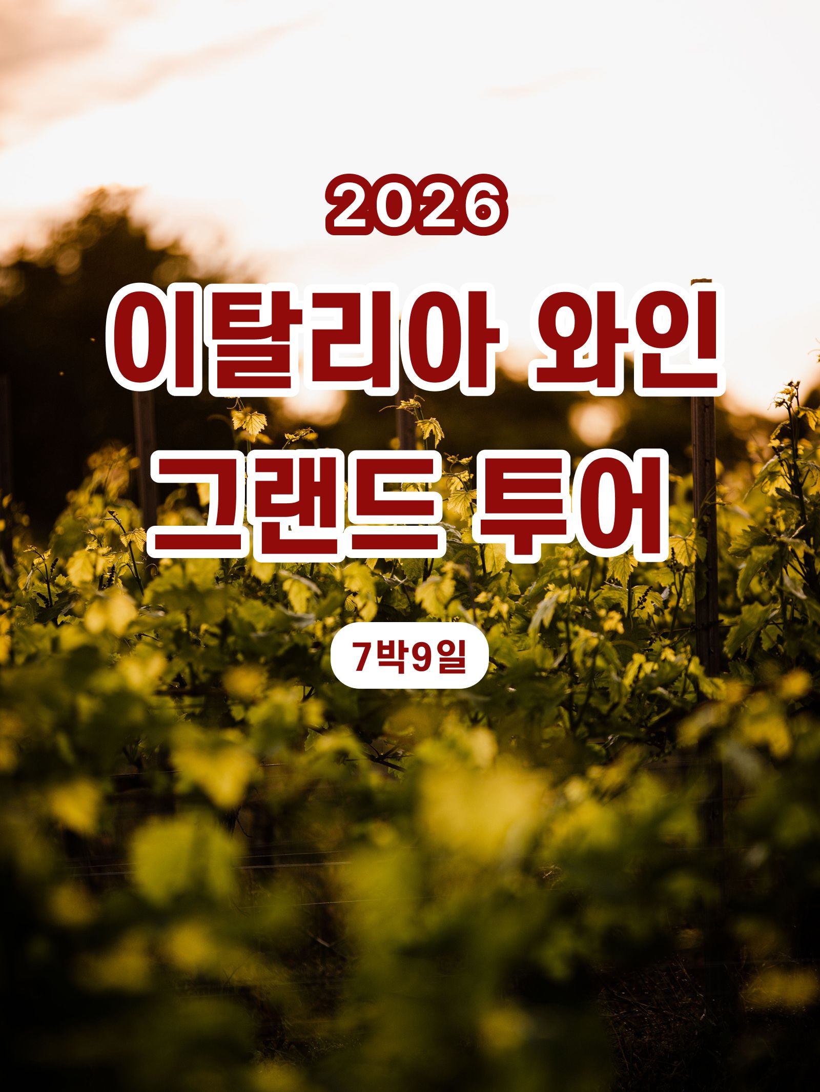 이탈리아 명품 와인 그랜드 투어 1/18