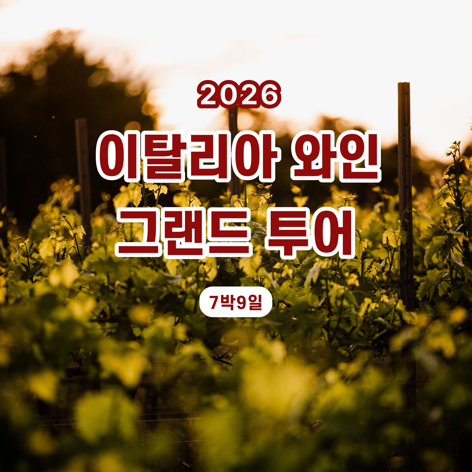 나의 첫번째 와인여행