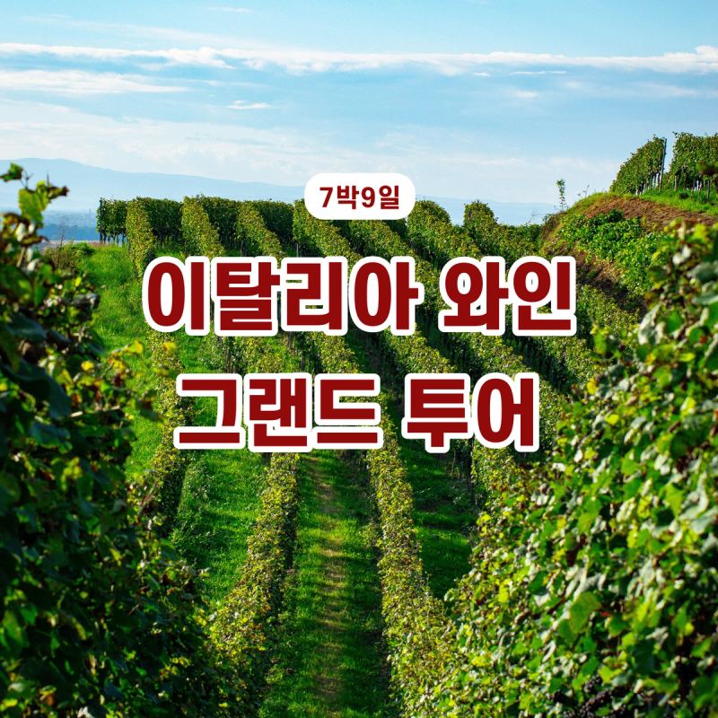 나의 첫번째 와인여행