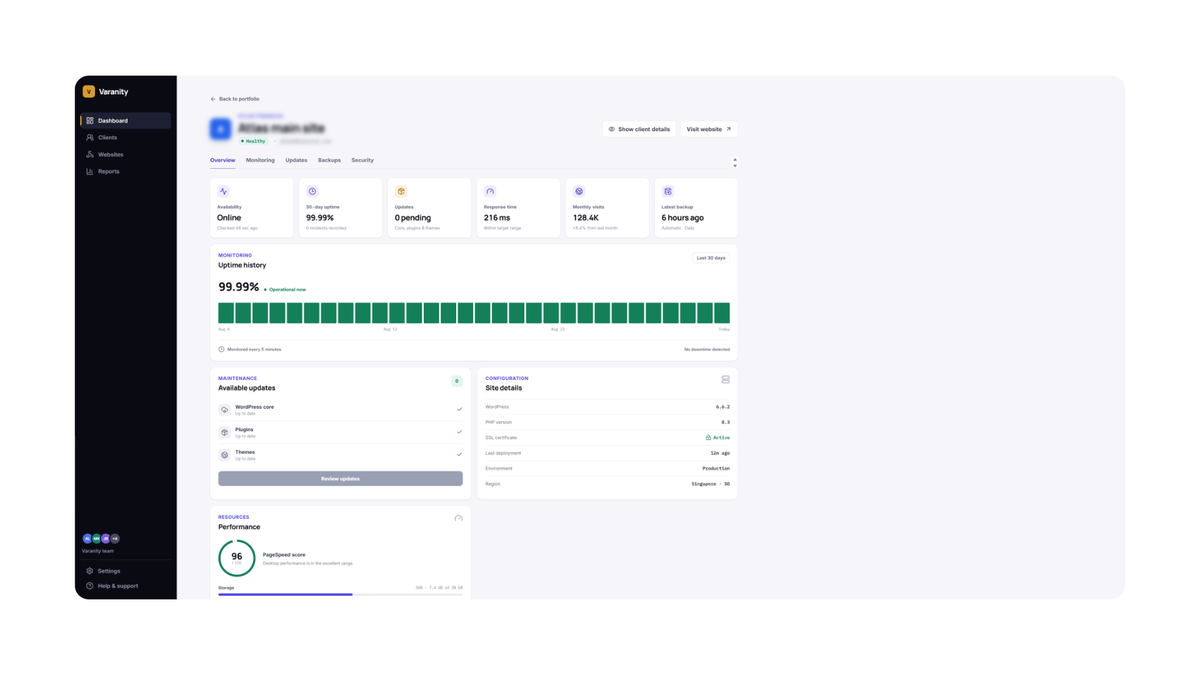 Screenshot of a website maintenance dashboard showing updates, backups, and uptime
