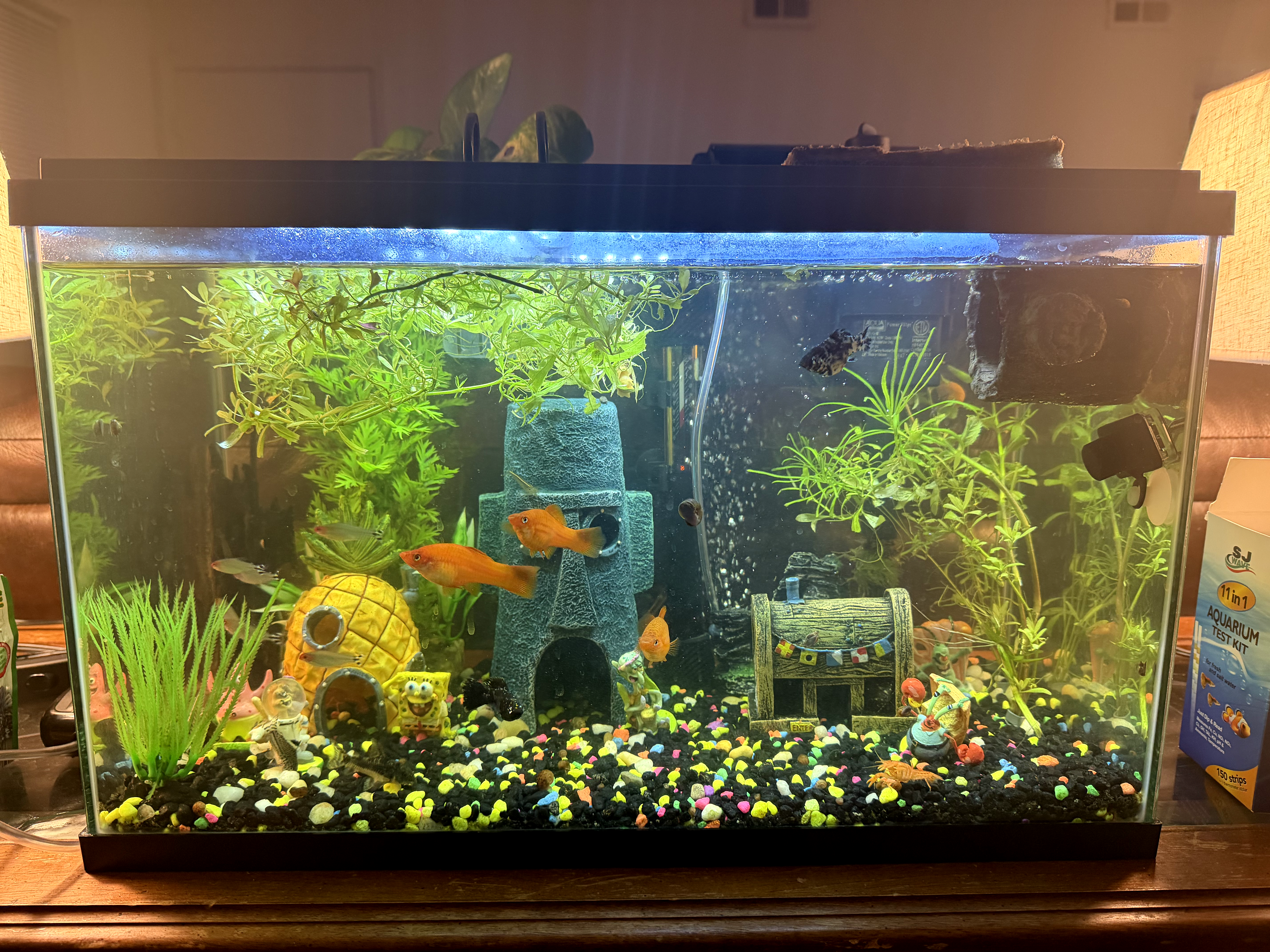 bikini bottom spongebob aquarium krusty krab sword fin