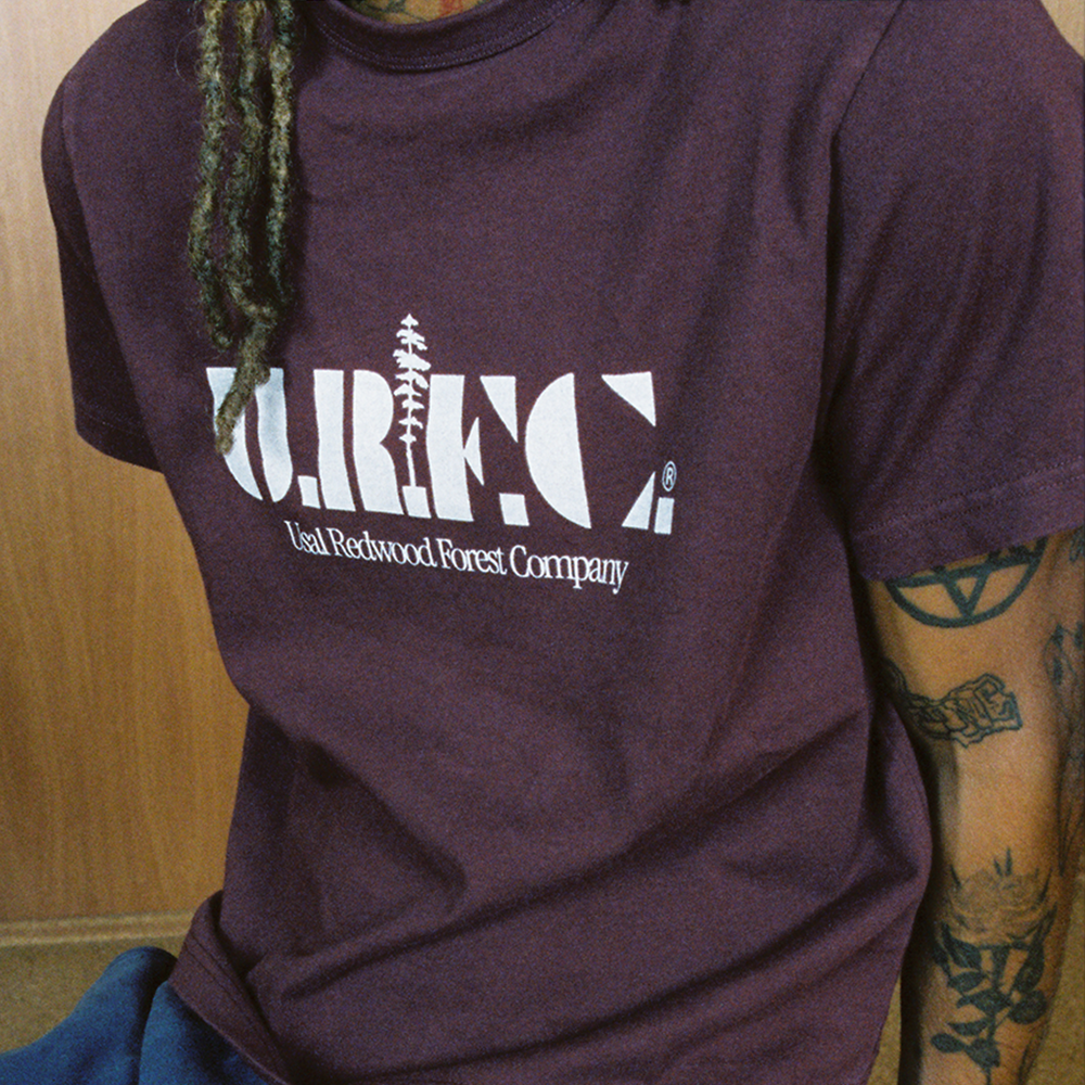 A decorative image from Usal Project