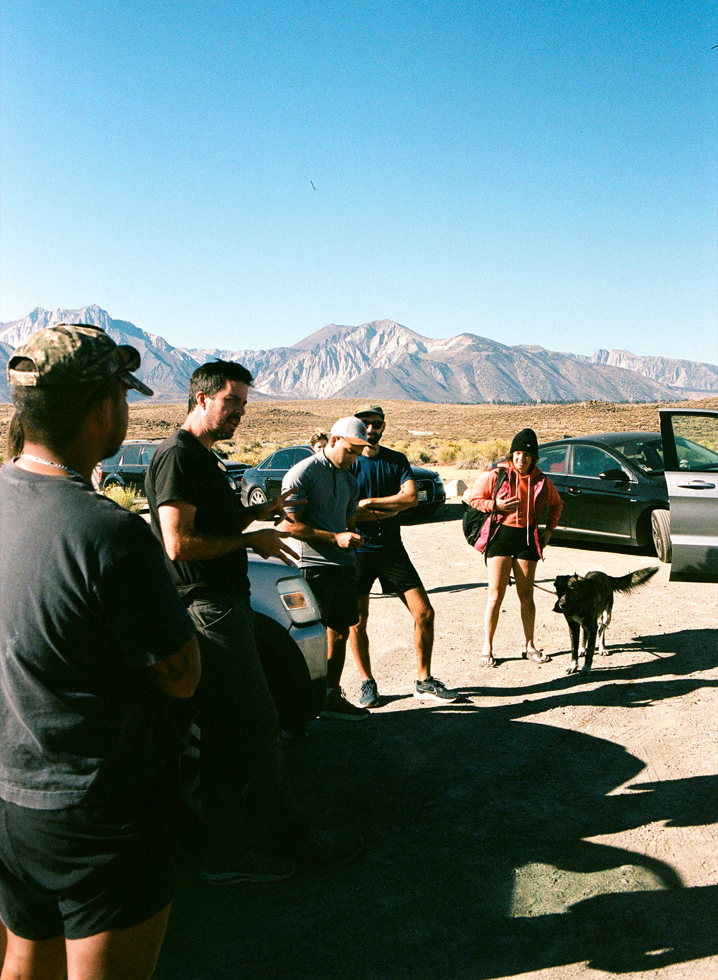 A decorative image from Usal Project